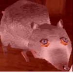 da rats group