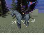 Mane View Stables