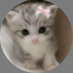 Bow pink pls join