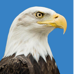Eagles point of view
