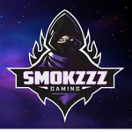 WE ARE THE GAMING PRO'S