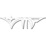 Vamp | Competitive