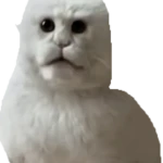 Clairvoyant garbage Group Thumbnail