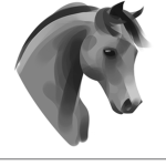 *+*-New Forest Riding Academy!