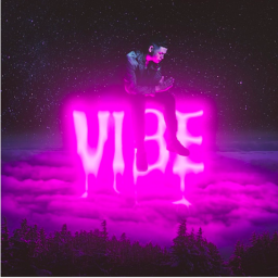 V1B3S
