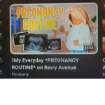 Berry Avenue Fan Group