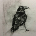 The Raven Plague