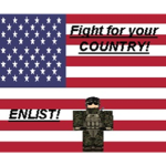 United States Armed Forces[USAF]