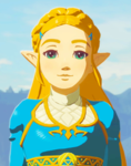 Team Zelda !