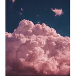 aestheticsofia
