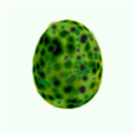 r0tton eggs