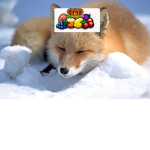 Team fruity fox