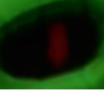 [PF] Reptilians