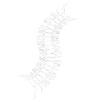Worm '濳