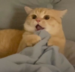 물만두만두