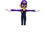 The Followers of The Holy King Waluigi