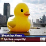 Cool duck people