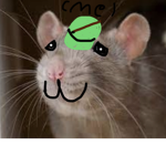 Beep beep I’m a rat