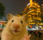 Hamster Play Commu