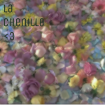 la chenille <3
