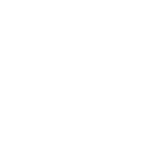 Digital Engine