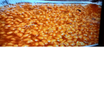 Beans beam
