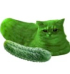 uela