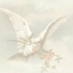 Angel View