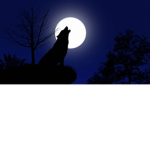 Liitle Moons