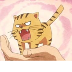 $roar