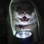 I am not homeless