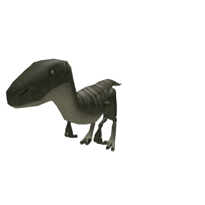 Vidity's Raptor