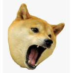 quiroven pogehazzzhzhzhhhzhzhz