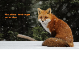 Fox obby!