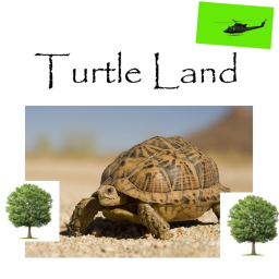 Turtle Land