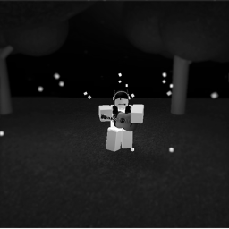 Dawn~runway