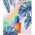 Aesthetics fan gourps