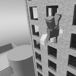 AKing Ragdoll