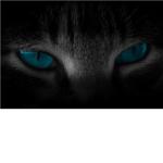 SilentClan|FlameClan|SpikeClan|MoonClan