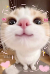 GIF groupppppp