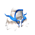 Ultramarine Hood