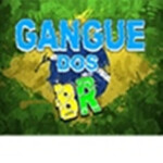 Castelin Swordfight pra Gangue