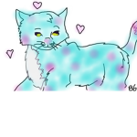 Cotton candy kitten