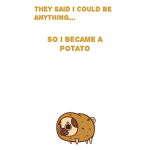 Potatoes potatoes and more potatoes