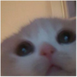 Soy cris