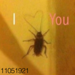 <3 gothyc/cute