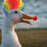 Goose Gang HONK