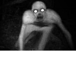 Survival The Rake The Killer