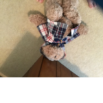 Bobo the bear group
