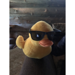 Bepsi fans